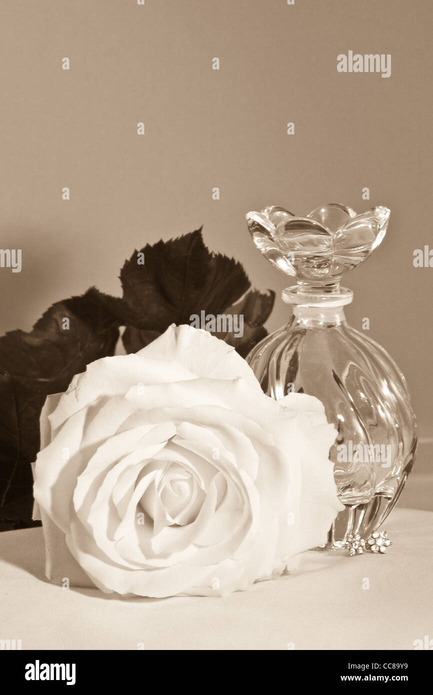 Rose, Farbe-Ohrentropfen und kleine Flasche - Sepia vertikale Stockfoto