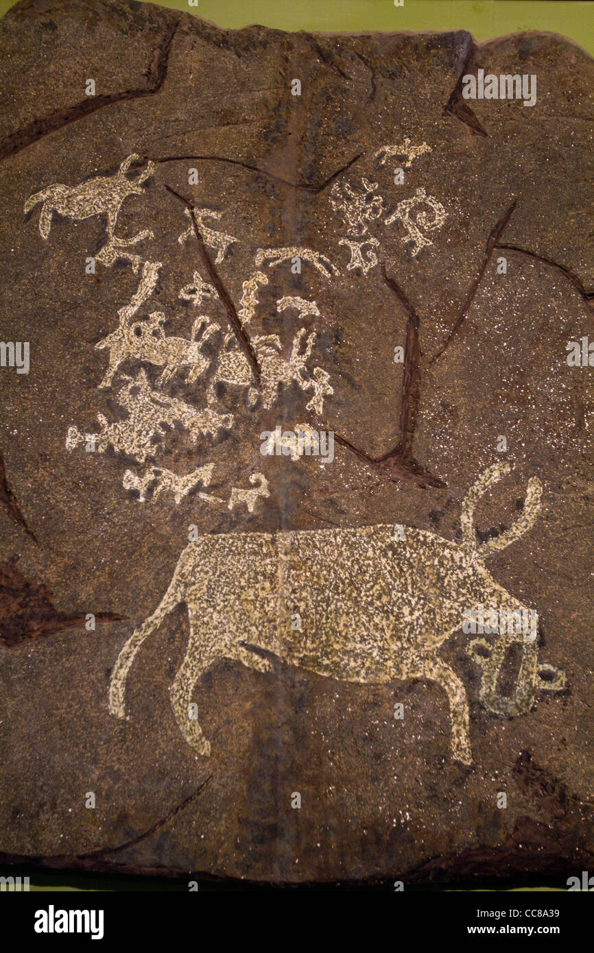 Prähistorische Felszeichnungen im nationalen Museum für mongolische Geschichte Ulaanbaatar, Mongolei Stockfoto
