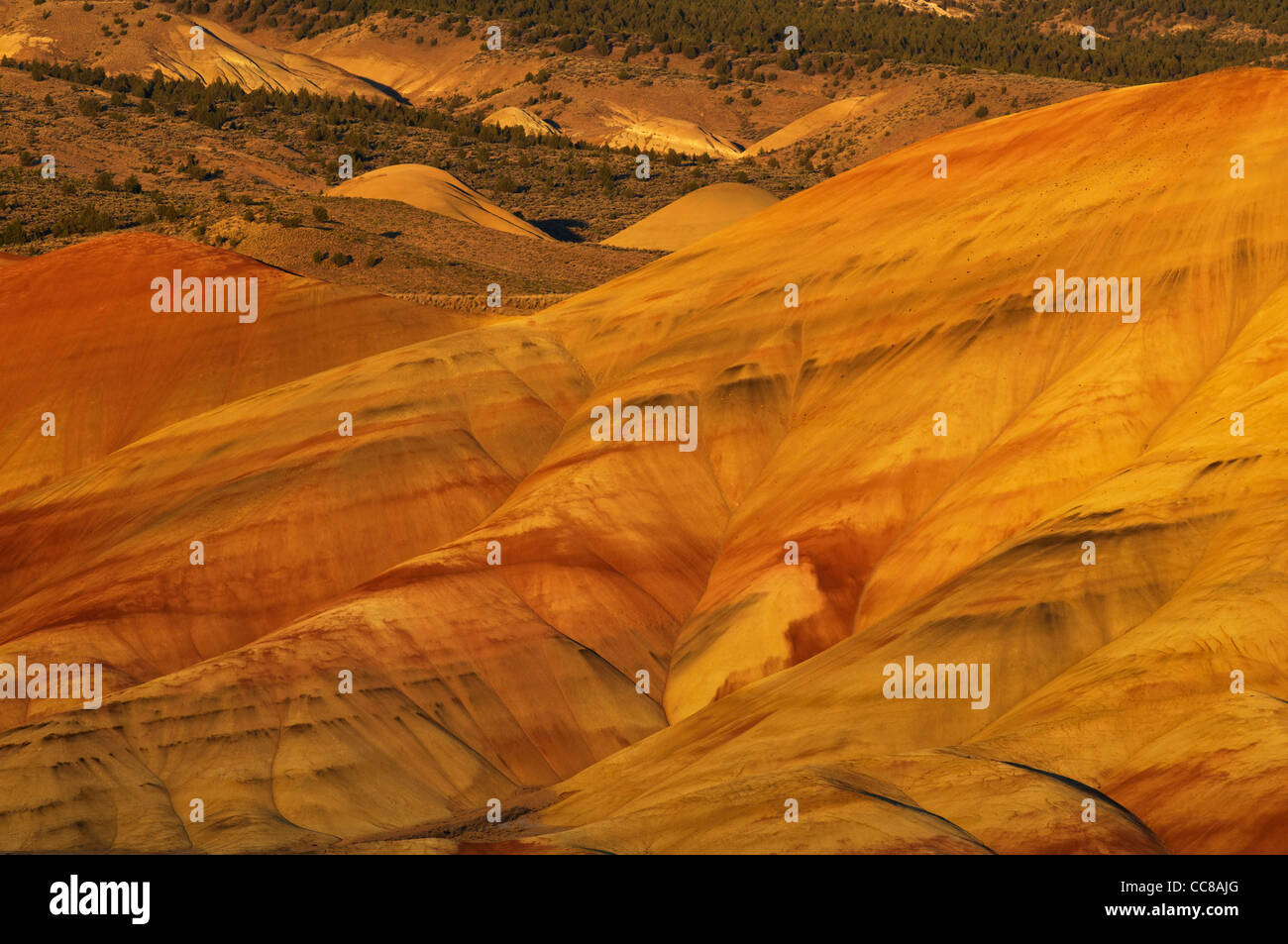 Gemalte Hügel Einheit in der John Day Fossil Beds National Monument Stockfoto