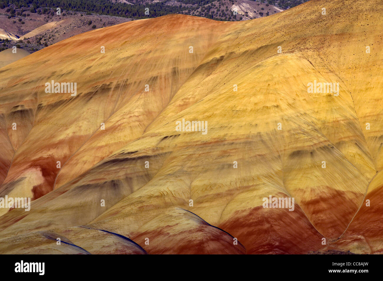 Gemalte Hügel Einheit in der John Day Fossil Beds National Monument Stockfoto