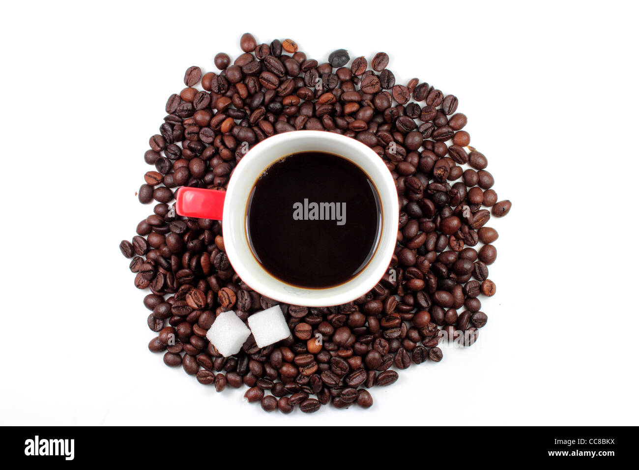 Rote Tasse Kaffee mit gerösteten Kaffeebohnen und Zucker Klumpen Stockfoto
