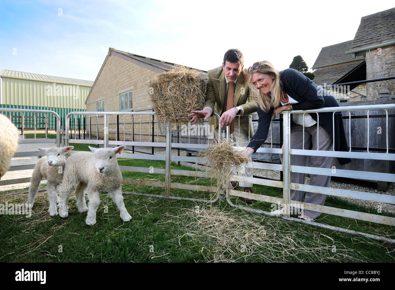 Daylesford Organic Farmen Manager Richard Smith, die Schafe zu halten, während Kleinfarm Praktika in der Nähe von Stow-auf-t berät Stockfoto