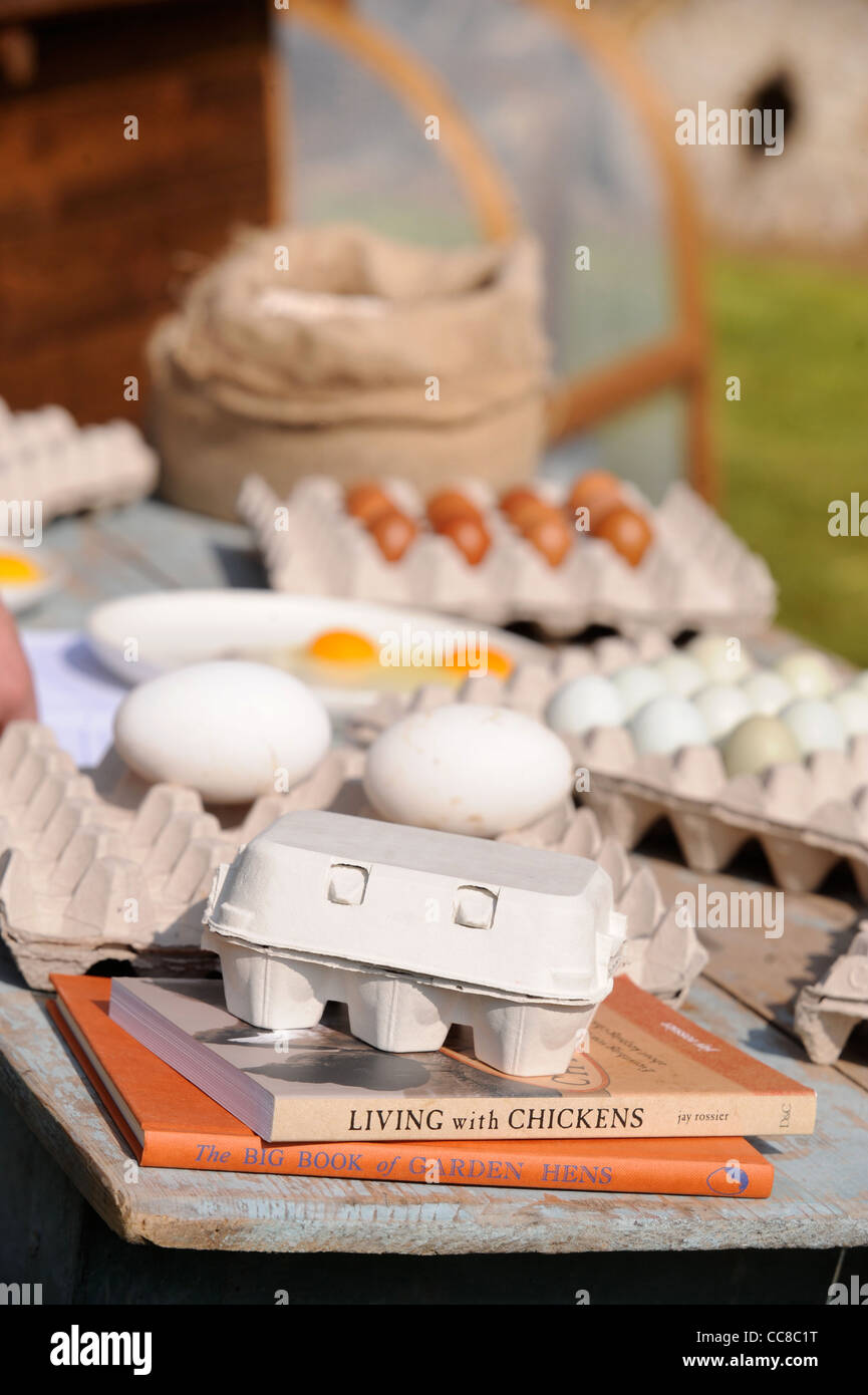 Nachschlagewerke als ein Poultryman gibt einen Vortrag über Hühnerhaltung in einem Kleinbetrieb-Kurs bei Daylesford Organic Farm Stockfoto