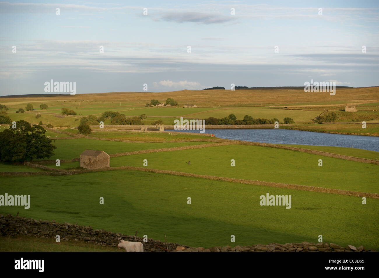 Trockenen Sie Stein Mauerwerk, Sonnenuntergang, Jury Reservoir, Baldersdale, Teesdale, County Durham, England Stockfoto