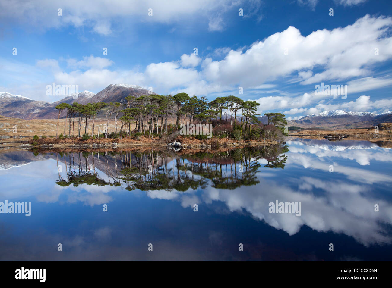 Winter Reflexion der Twelve Bens im Derryclare Lough, Connemara, County Galway, Irland. Stockfoto