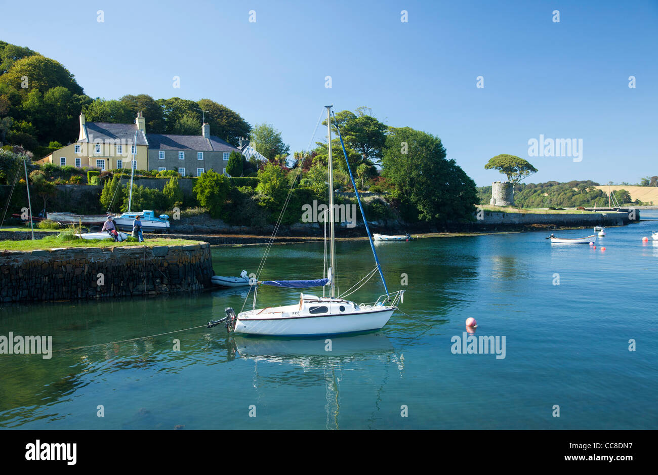 Segelboote vor Anker im Hafen von Strangford, Strangford Lough, County Down, Nordirland. Stockfoto