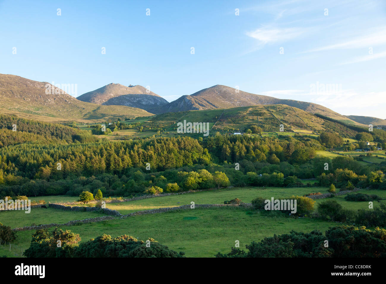 Ackerland und Wald unter die Mourne Mountains, County Down, Nordirland. Stockfoto