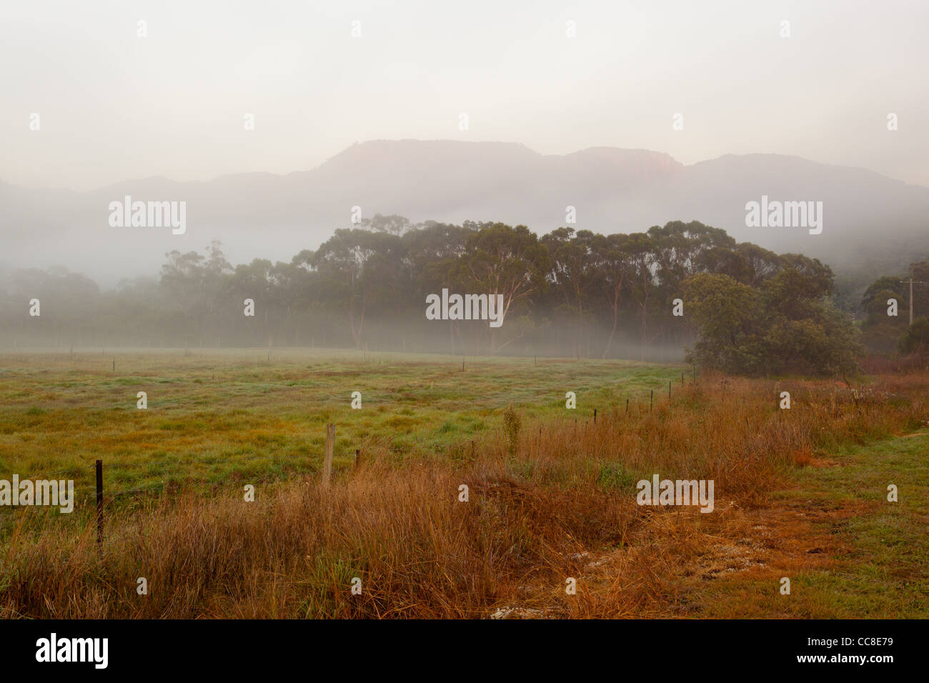 Misty Sonnenaufgang über Mount Buffalo und Mount Buffalo National Park von Buckland Valley in der Nähe von Porepunkah, Hell im Nordosten Victoria, Australien Stockfoto