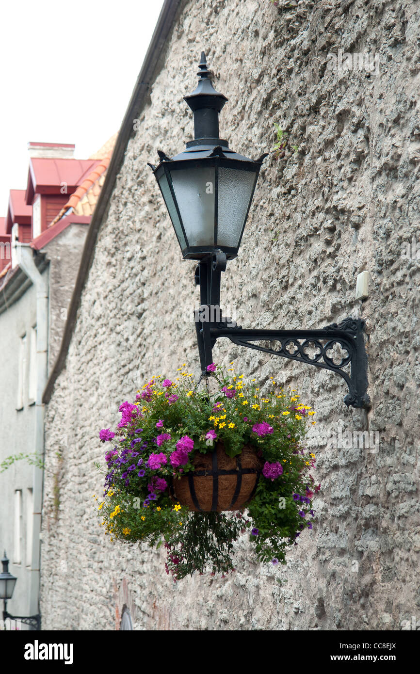 Alten Stil Straße Laterne Wit Blüten; Tallinn, Estland Stockfoto