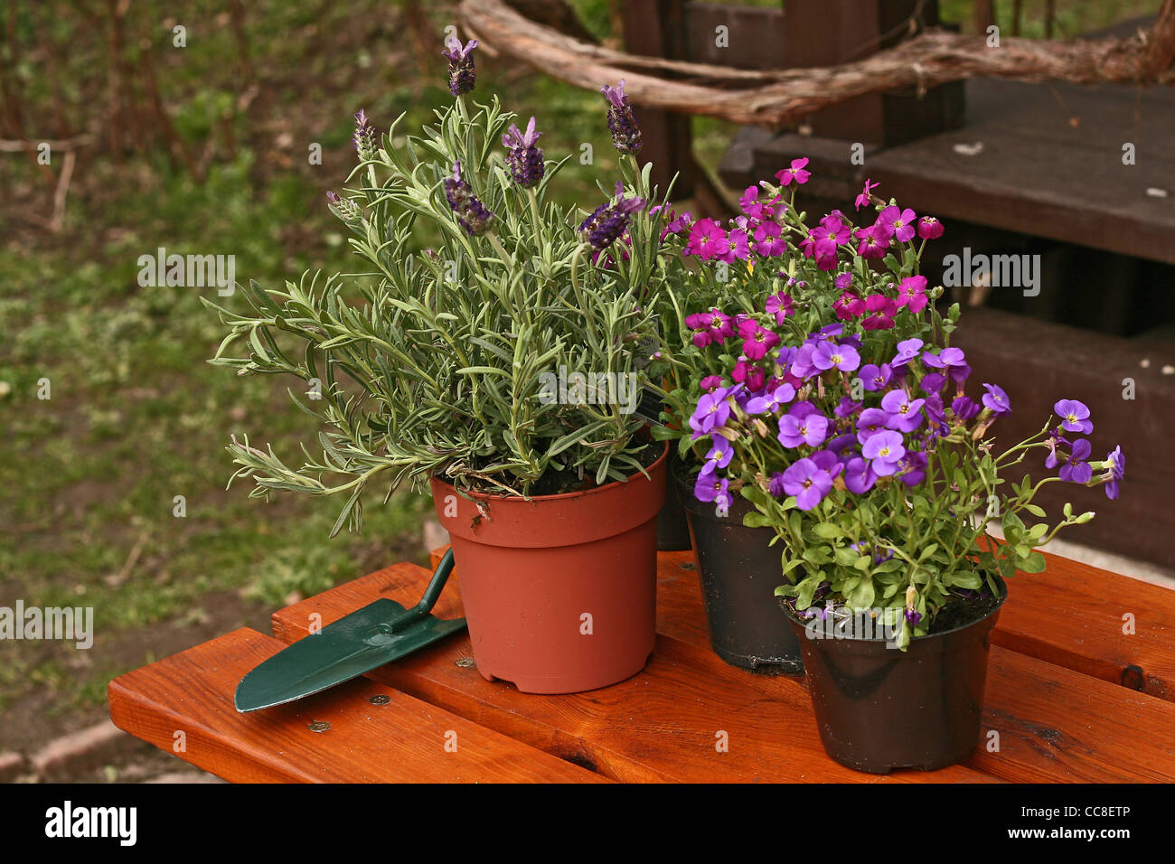 Blumen und Gartengeräte Stockfoto