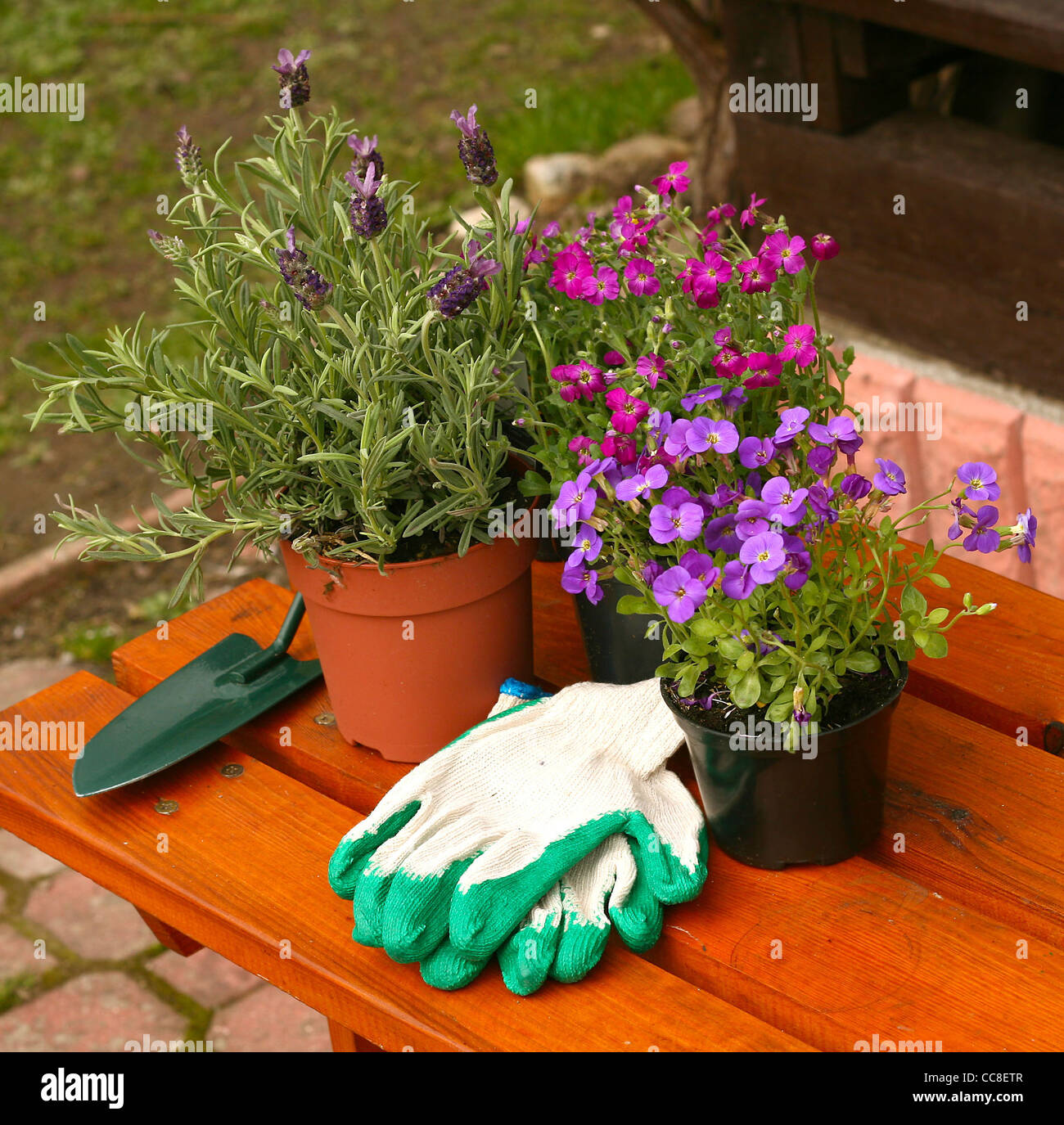 Blumen und Gartengeräte Stockfoto