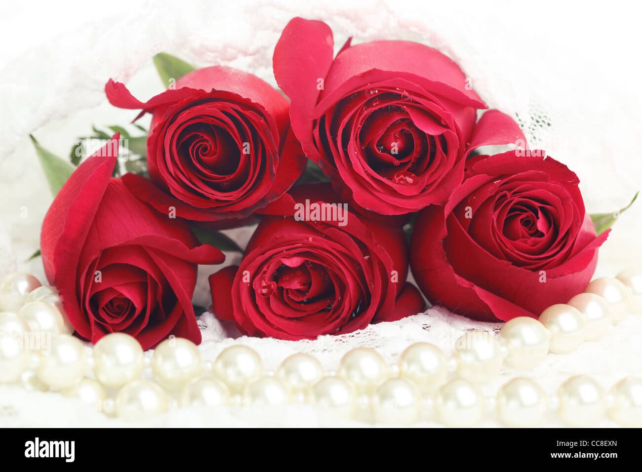 Rote Rose und Perlen auf weißem Hintergrund Stockfoto