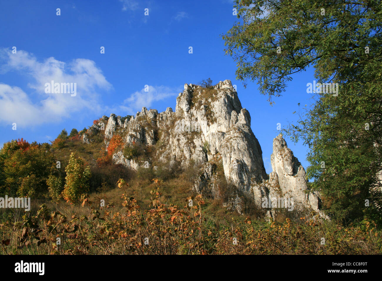 Teil der Brama Bolechowicka - Felsen (Kalkstein) Tor zu dem Bolechowicka Tal, in der Nähe von Krakau, polnischer Upland Stockfoto
