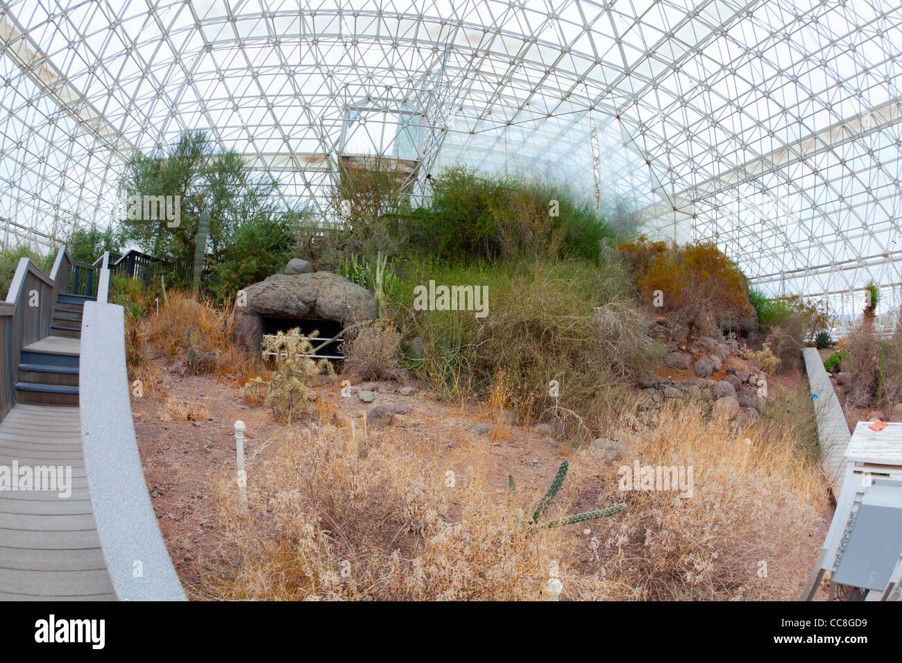 Biosphäre 2 Innenraum Stockfoto