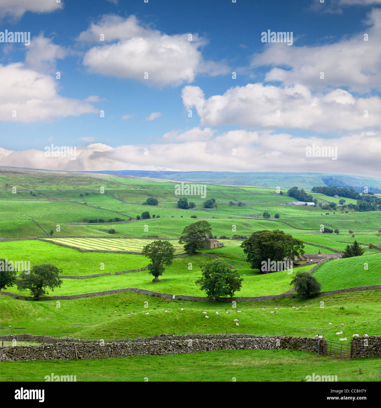 Ein Sommertag in Wensleydale, North Yorkshire, England. Stockfoto