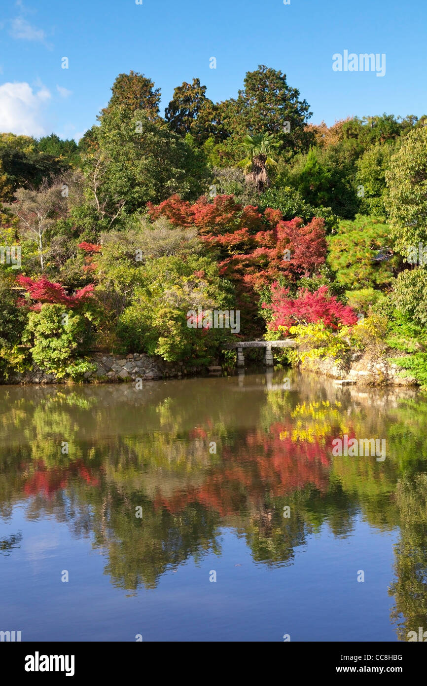 Reflexion im Kyoyochi Teich im Garten des Ryōan-Ji Tempels, Kyoto, Japan, im Herbst zu sehen. Stockfoto