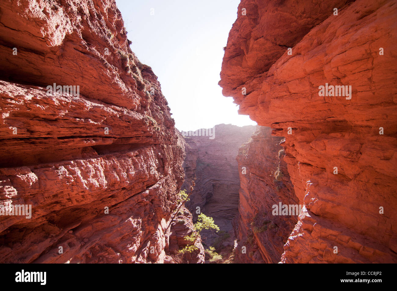 Quebrada de Las Conchas (Salta, Argentinien) Stockfoto