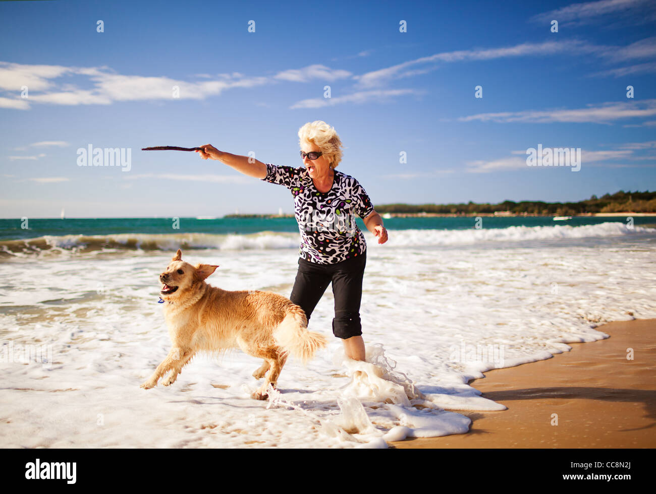 Glückliche Frau spielen am Strand mit golden retriever Stockfoto