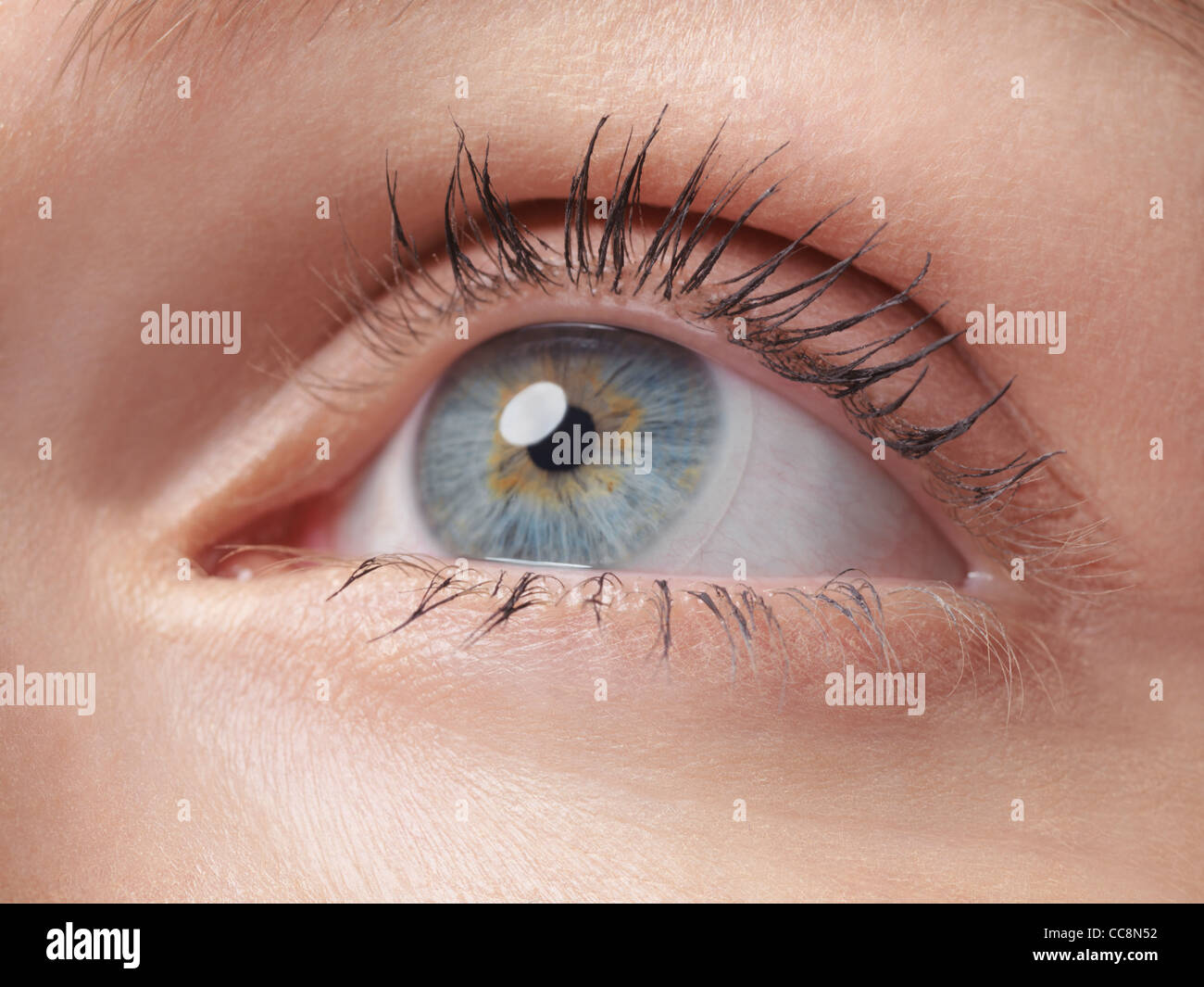 Nahaufnahme Von Einer Frau Blaue Auge Kontaktlinsen Tragen Stockfotografie Alamy