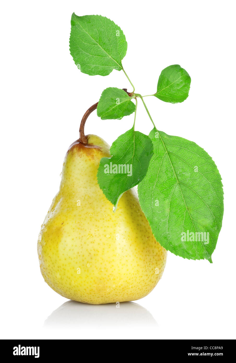 Gelbe Birne mit grünen Blättern isolierten auf weißen Hintergrund Stockfoto