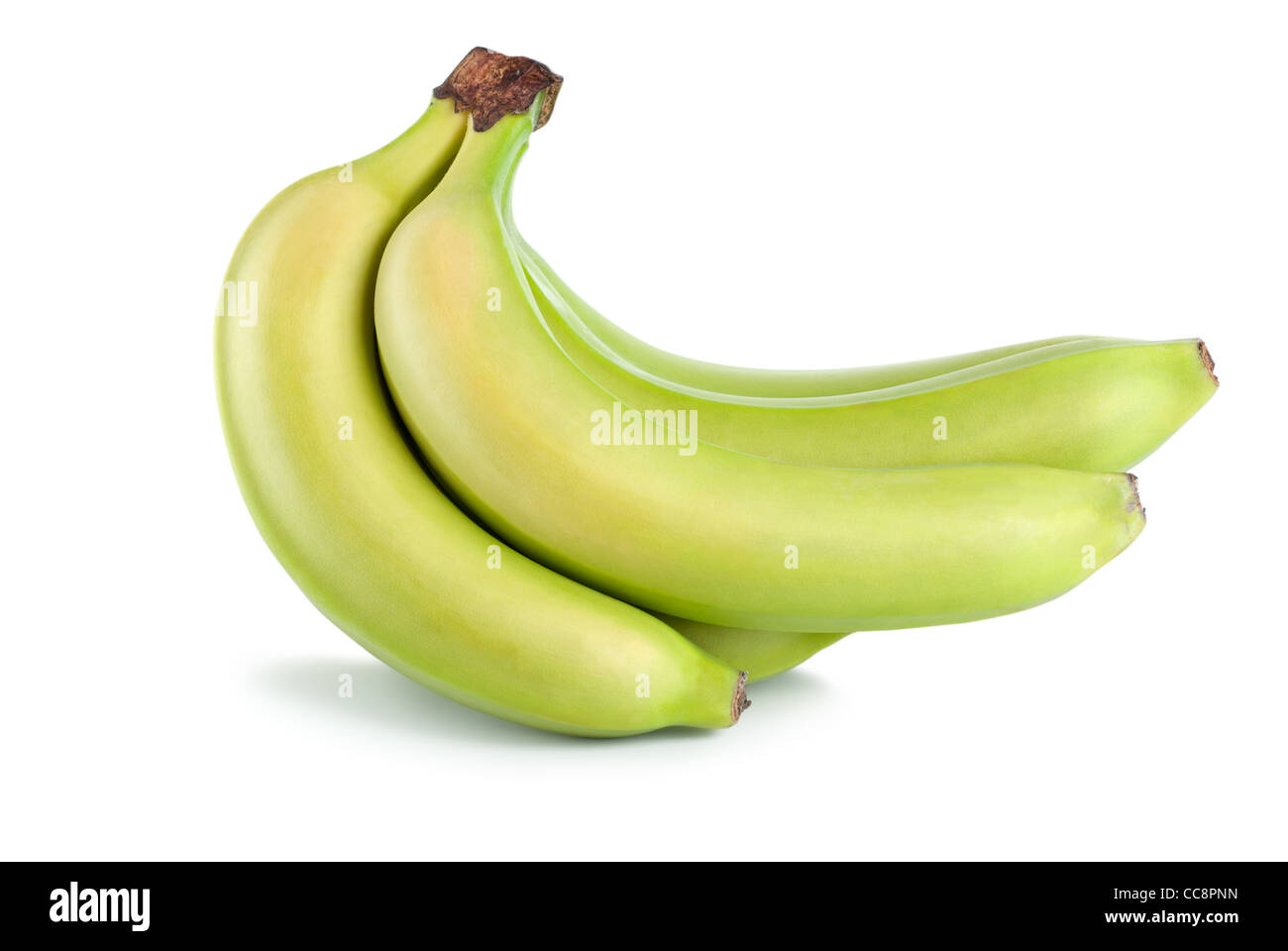 Eine Reihe von grünen Bananen, die isoliert auf weißem Hintergrund Stockfoto