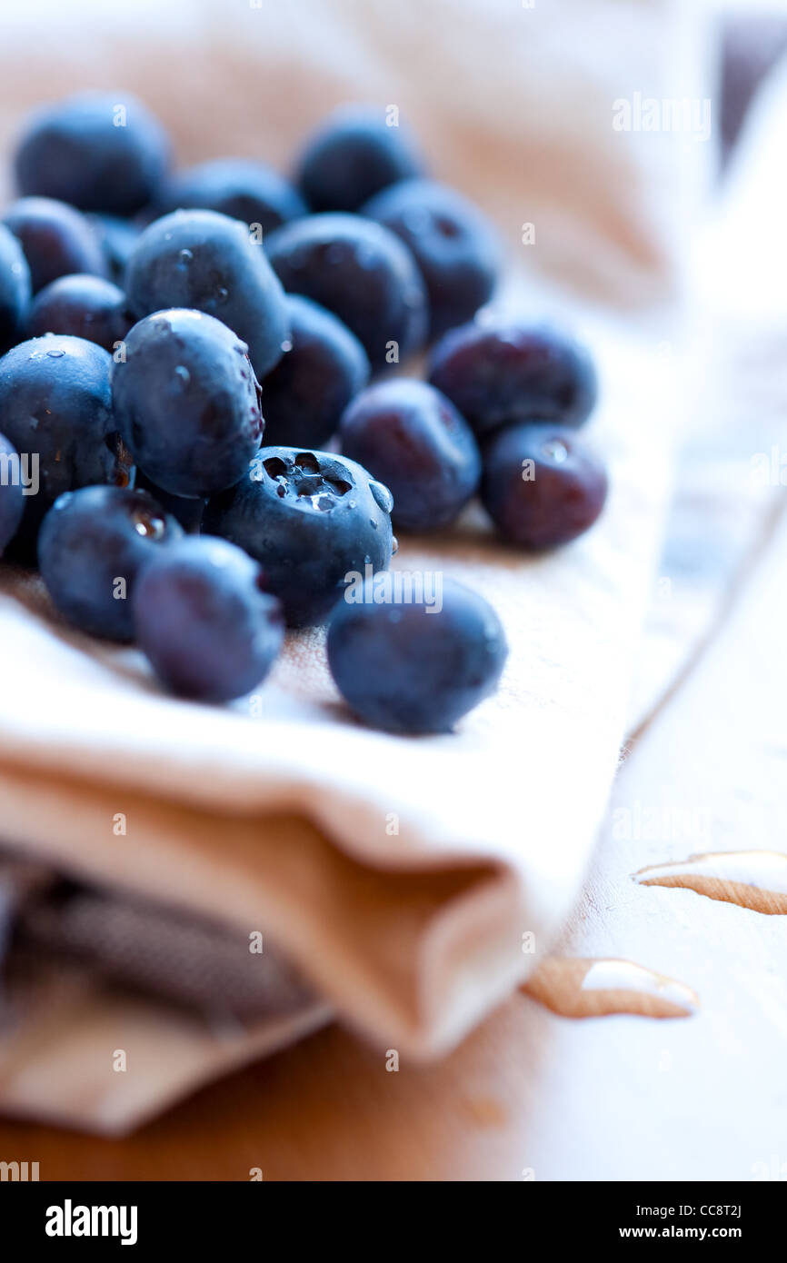 Nahaufnahme der leckeren Blaubeeren. Studio gedreht. Stockfoto