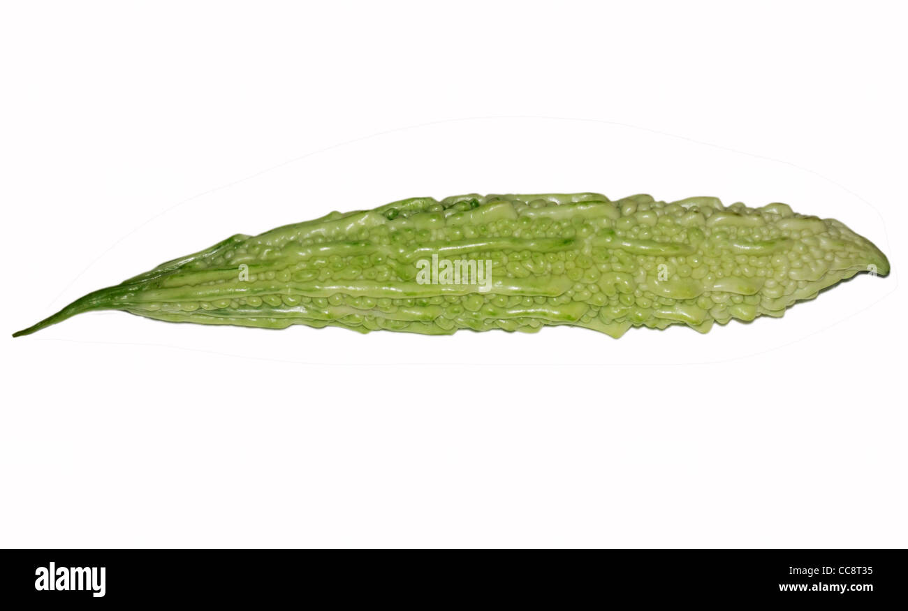 Ein bitterer Kürbis in weißem Hintergrund Stockfoto