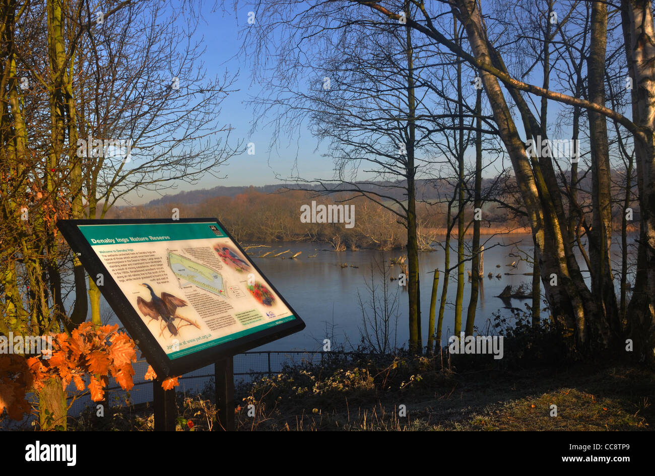 Denaby Ings Naturschutzgebiet und Teil des Yorkshire Wildlife Trust Stockfoto