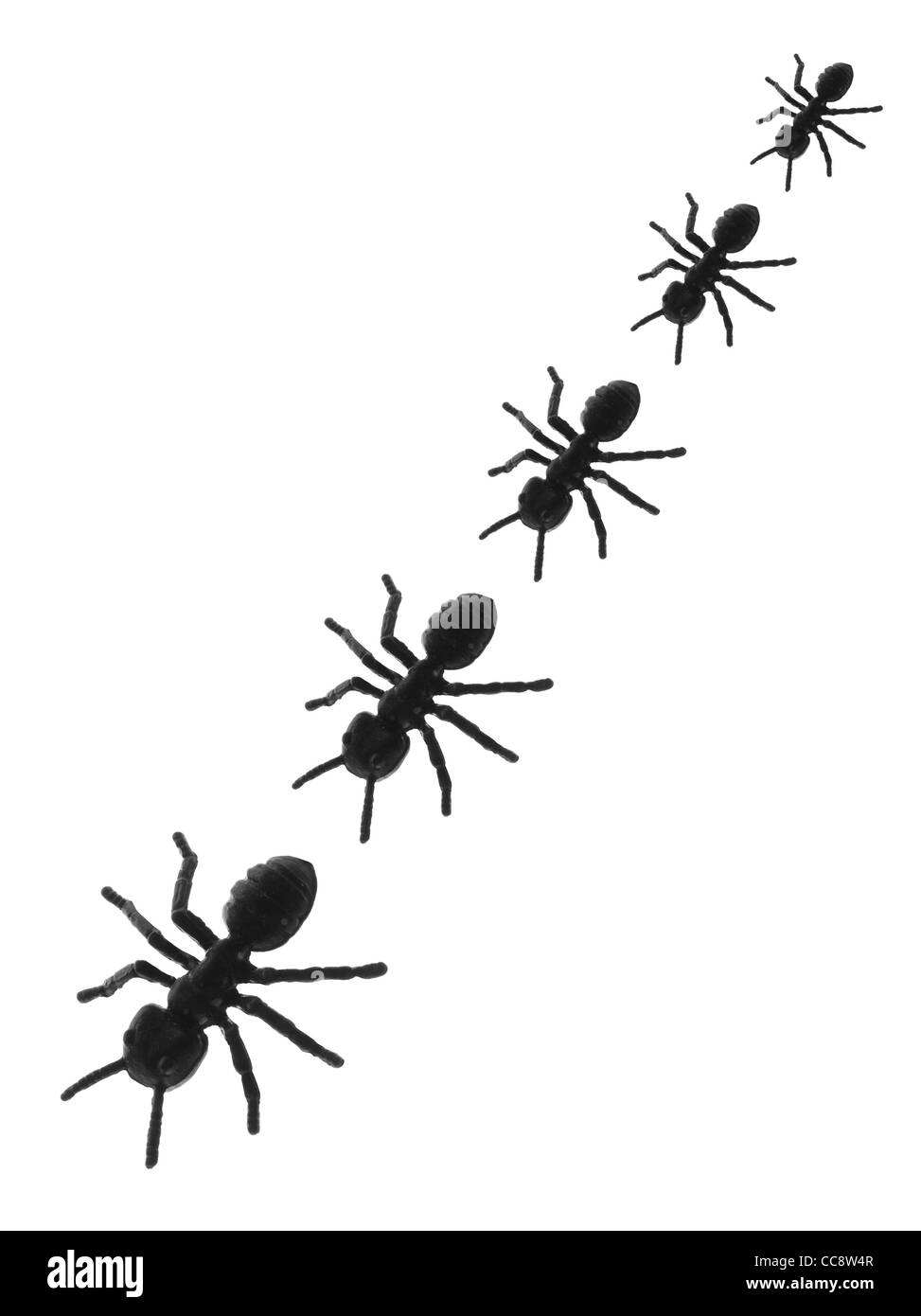Linie von Spielzeug Ameisen Stockfoto