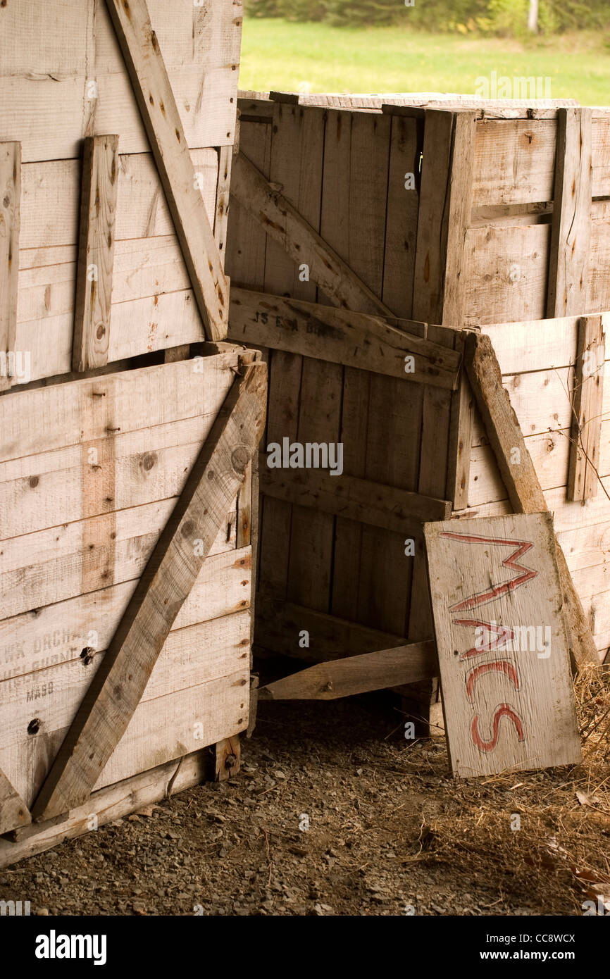 Im westlichen Massachusetts leere Kisten Äpfel Wartezeit für die Ernte mit einem Schild für Macintosh Äpfel. Stockfoto