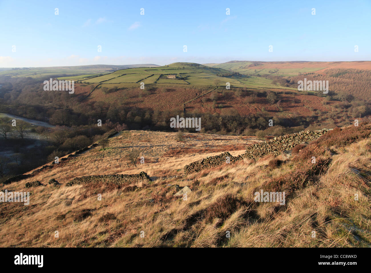Peak District Moor Stockfoto