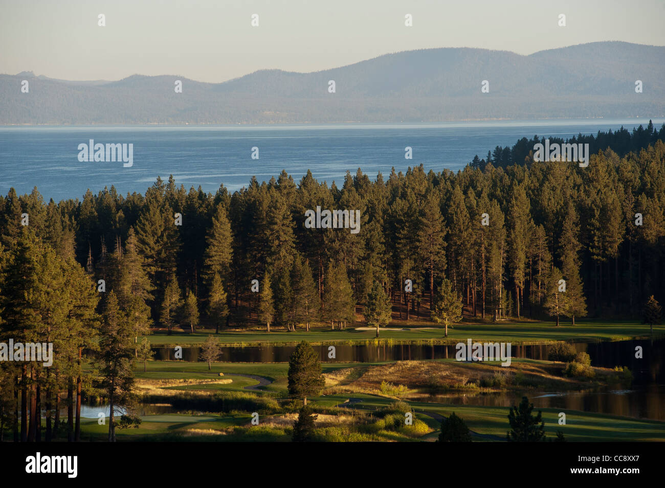 Edgewood Tahoe Golfplatz. South Lake Tahoe, El Dorado County, Sierra Nevada, Kalifornien, USA Stockfoto