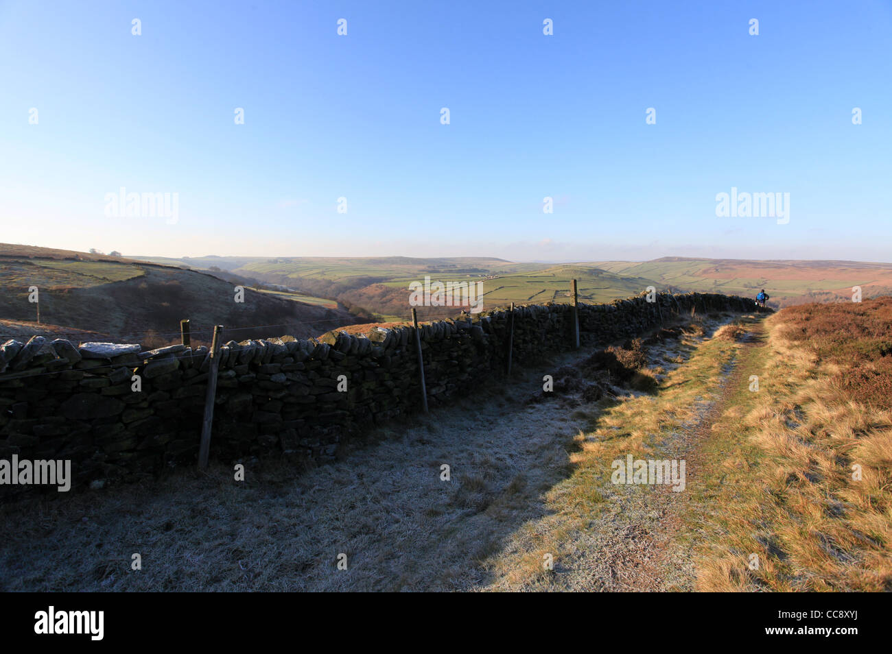 Peak District Heide Wanderweg Stockfoto