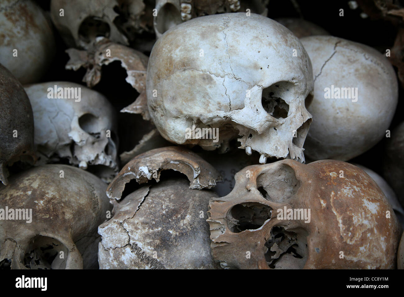 Menschliche Schädel in der Gedenkstätte des the Killing Fields Stockfoto
