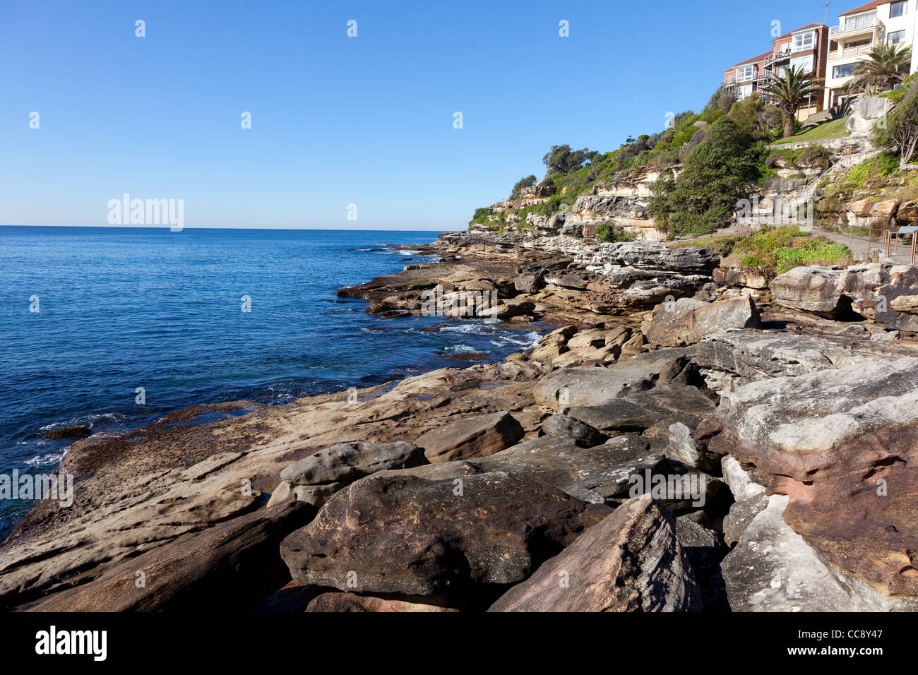Küste zwischen Bondi und Tamarama Sydney Stockfoto