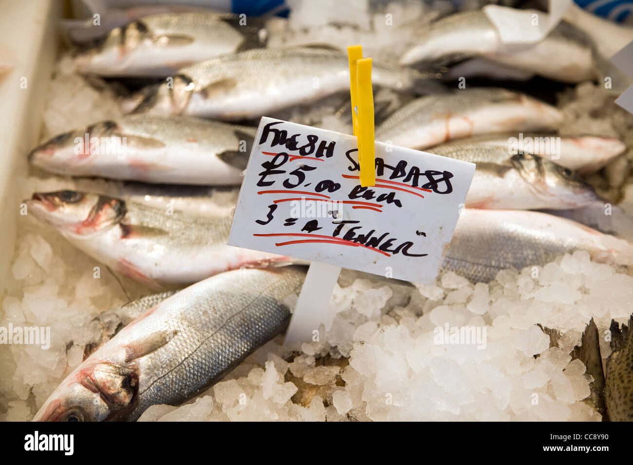 Frischer Wolfsbarsch Fisch zum Verkauf Stockfoto