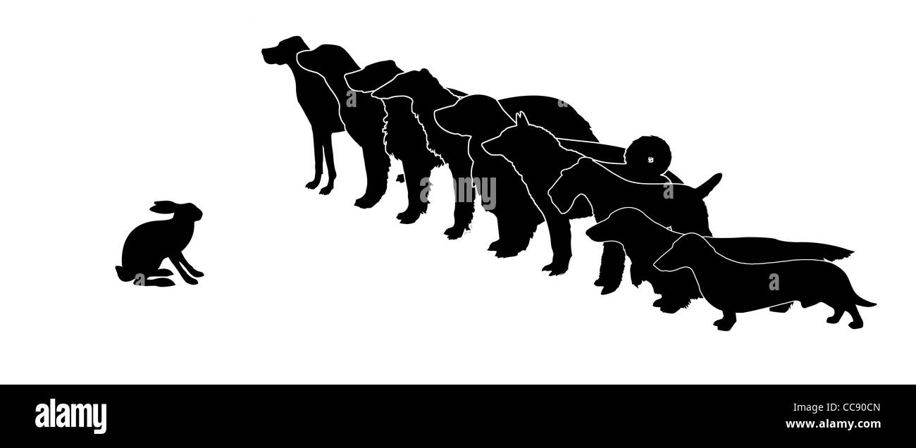 Vector Silhouette jagen Hunde und Kaninchen auf weißem Hintergrund Stockfoto