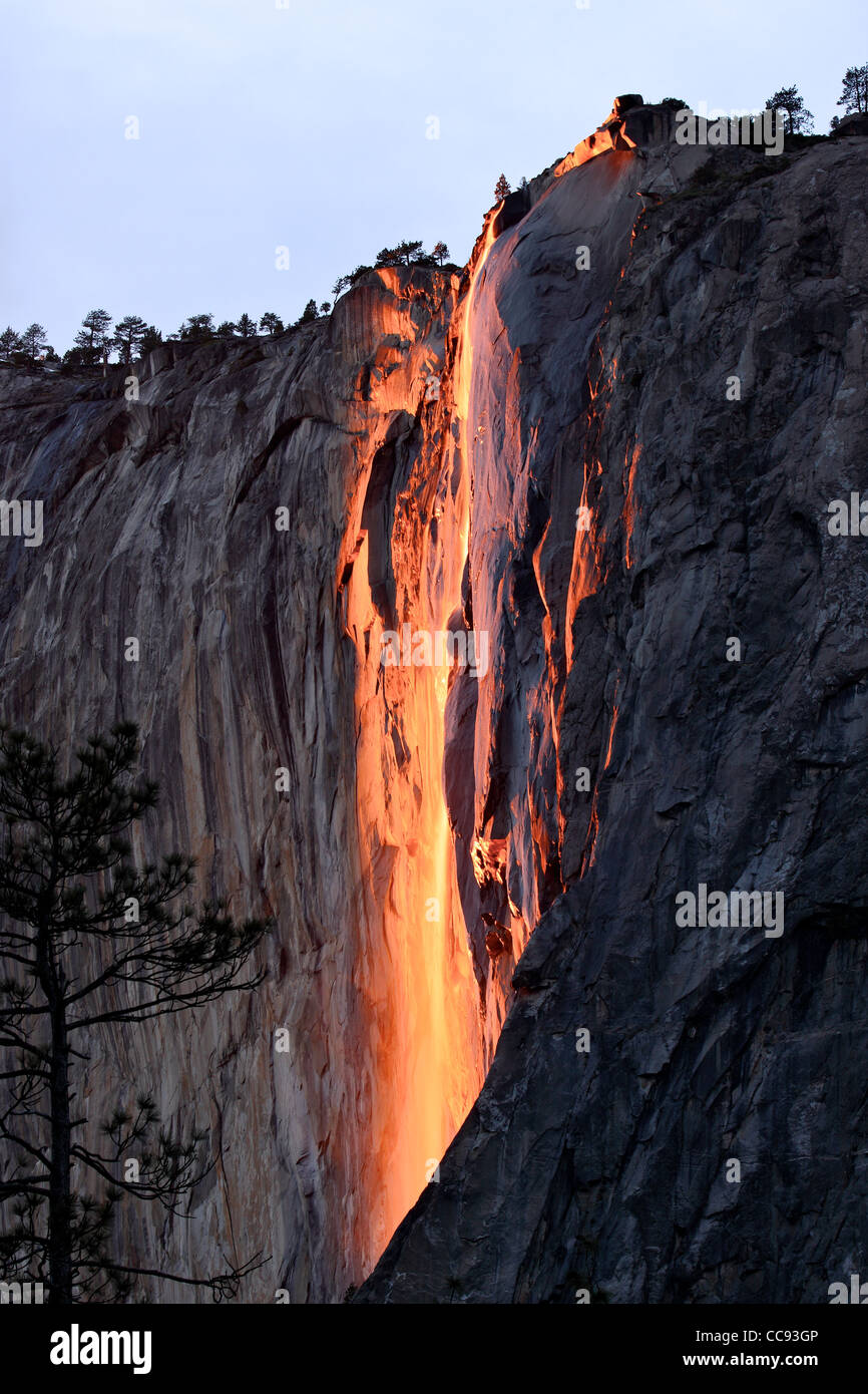 Schachtelhalm von Yosemite Fall leuchtet bei Sonnenuntergang im Park im Laufe des Monats Februar. Yosemite National Park, Kalifornien, USA Stockfoto