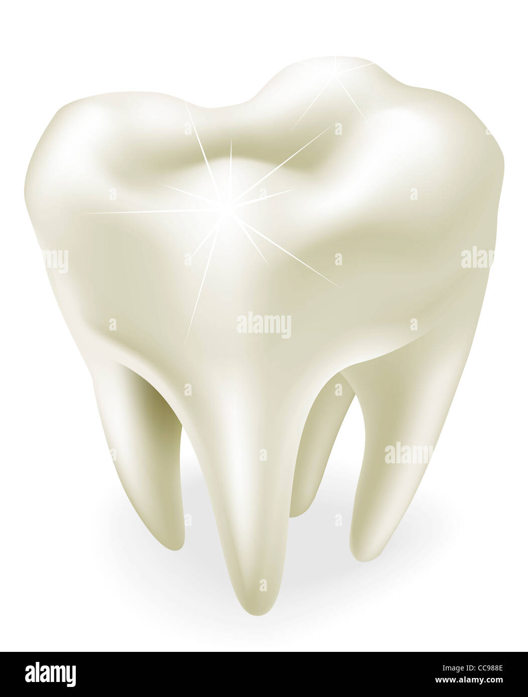 Eine Abbildung eines gesunden Weisheitszahn oder molar Stockfoto