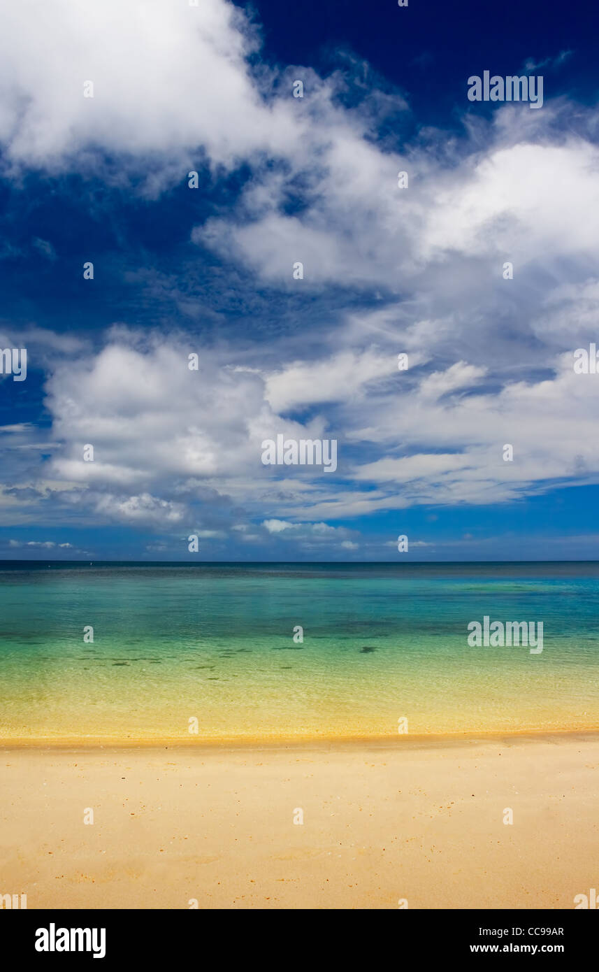 Tropical Beach in Hawaii Stockfoto