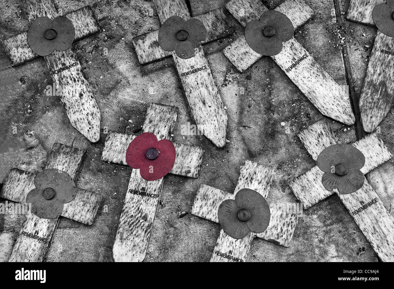 Denkmal-Mohn und Kreuze in notleidenden Zustand auf Steinsockel des Ehrenmals im Battersea Park, London SW11 Stockfoto