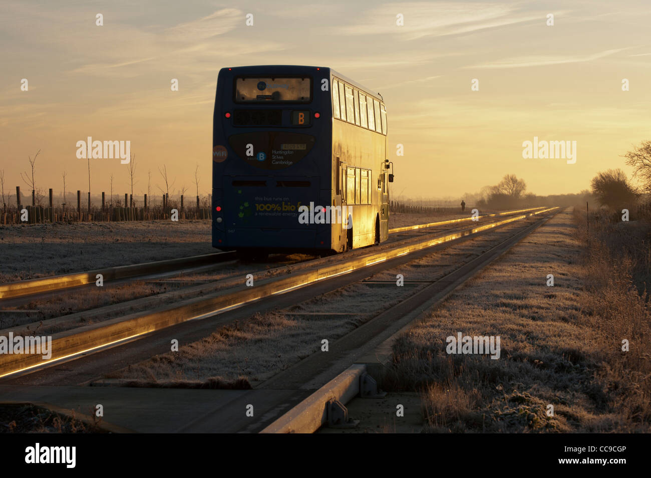 Die geführte Busway in Cambridgeshire zwischen St Ives und Cambridge Stockfoto