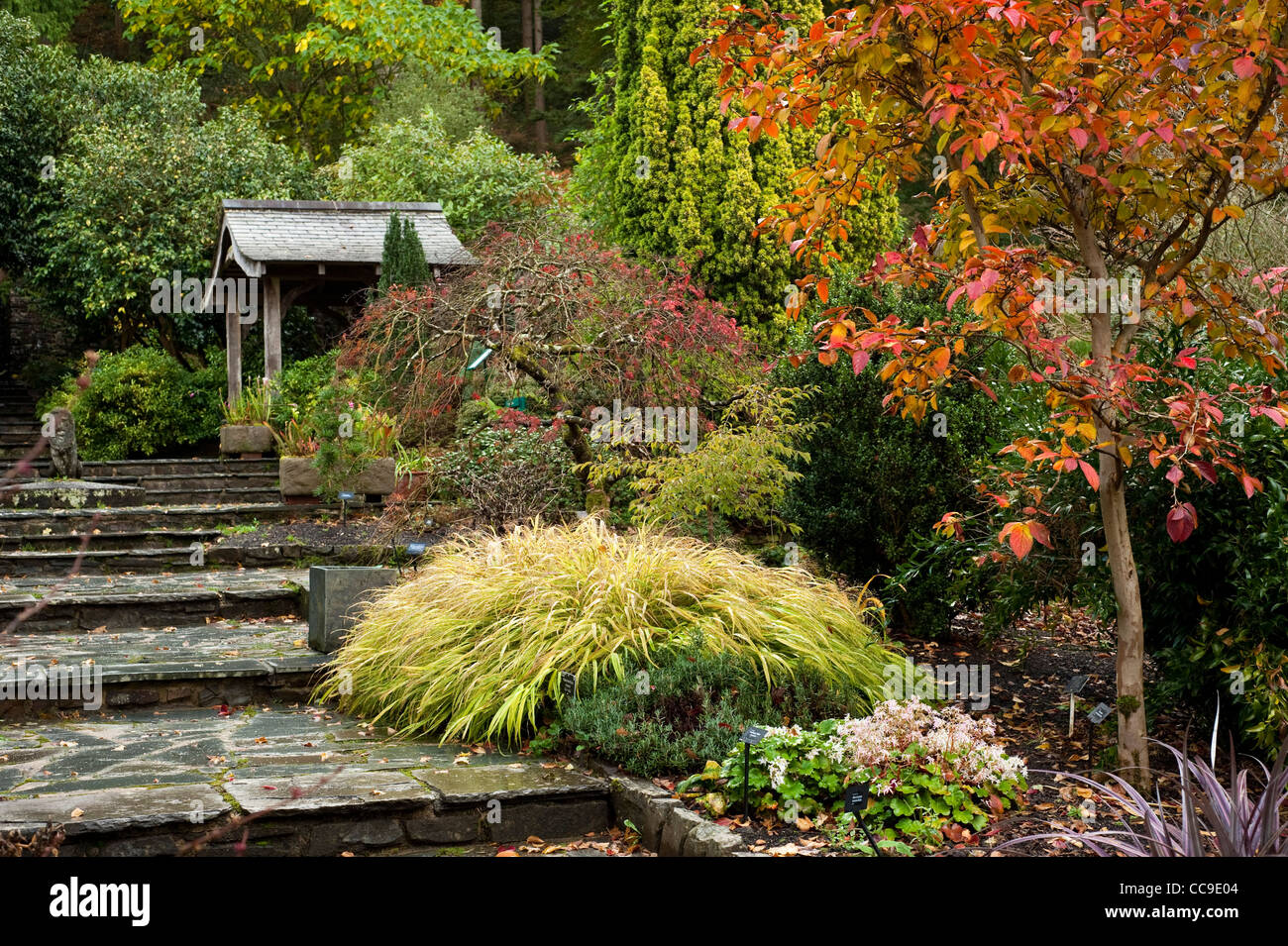 Der Steingarten im Herbst, RHS Rosemoor, Devon, England, Vereinigtes Königreich Stockfoto