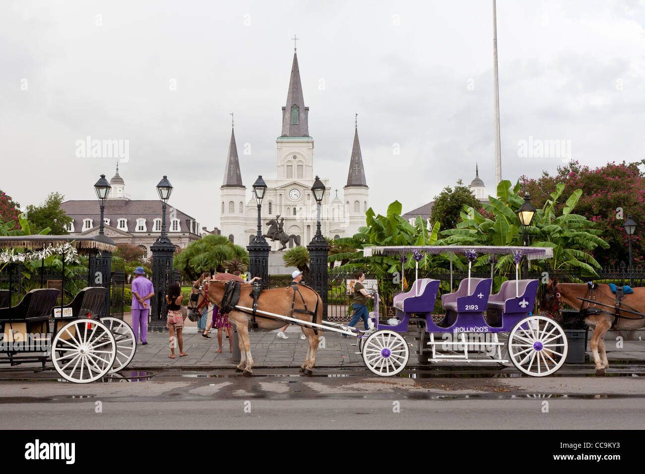 Pferd und Wagen Anbieter Line-up auf Decatur Straße vor Jackson Square im French Quarter von New Orleans, LA Stockfoto