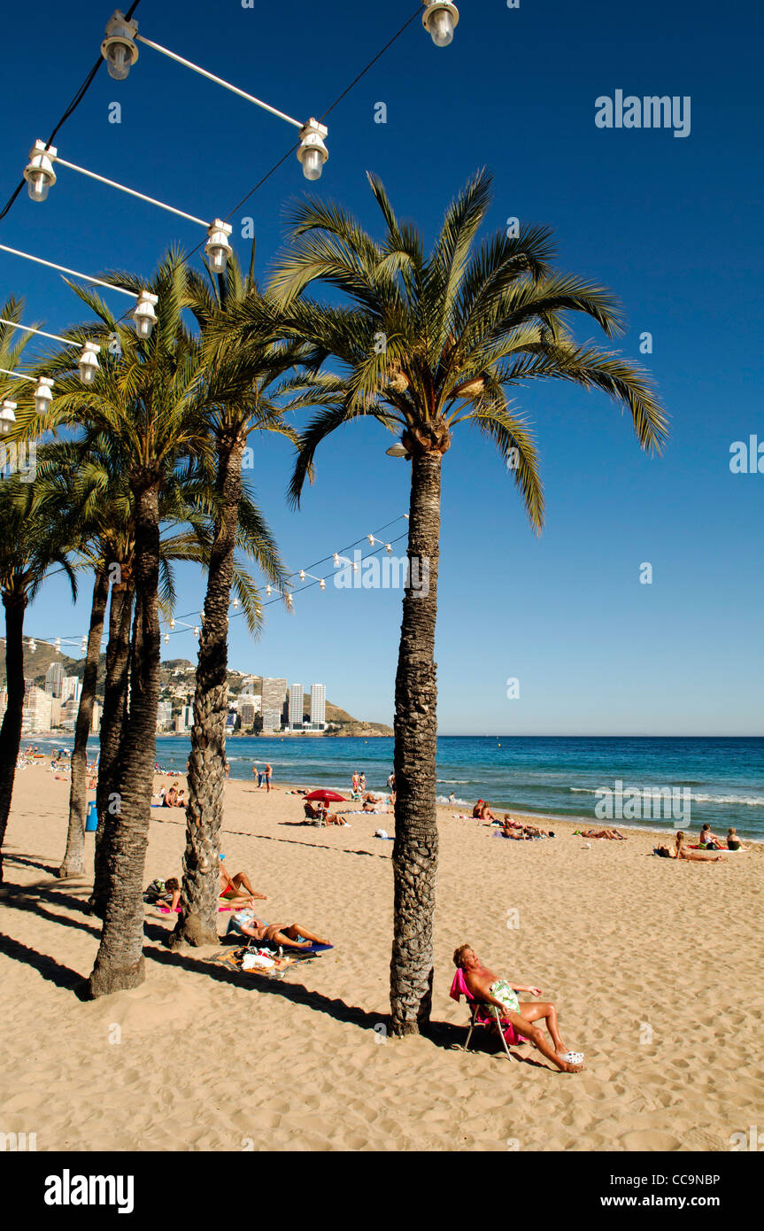 Touristen, Sonnenbaden am Strand Levante im Frühjahr in Benidorm, Spanien Stockfoto