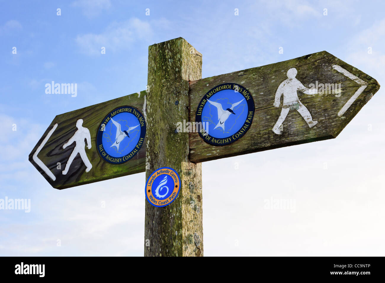 Alle Wales Coast Path Zeichen und das neue Logo auf eine Isle of Anglesey Coastal Path-Wegweiser in North Wales, UK, Großbritannien Stockfoto