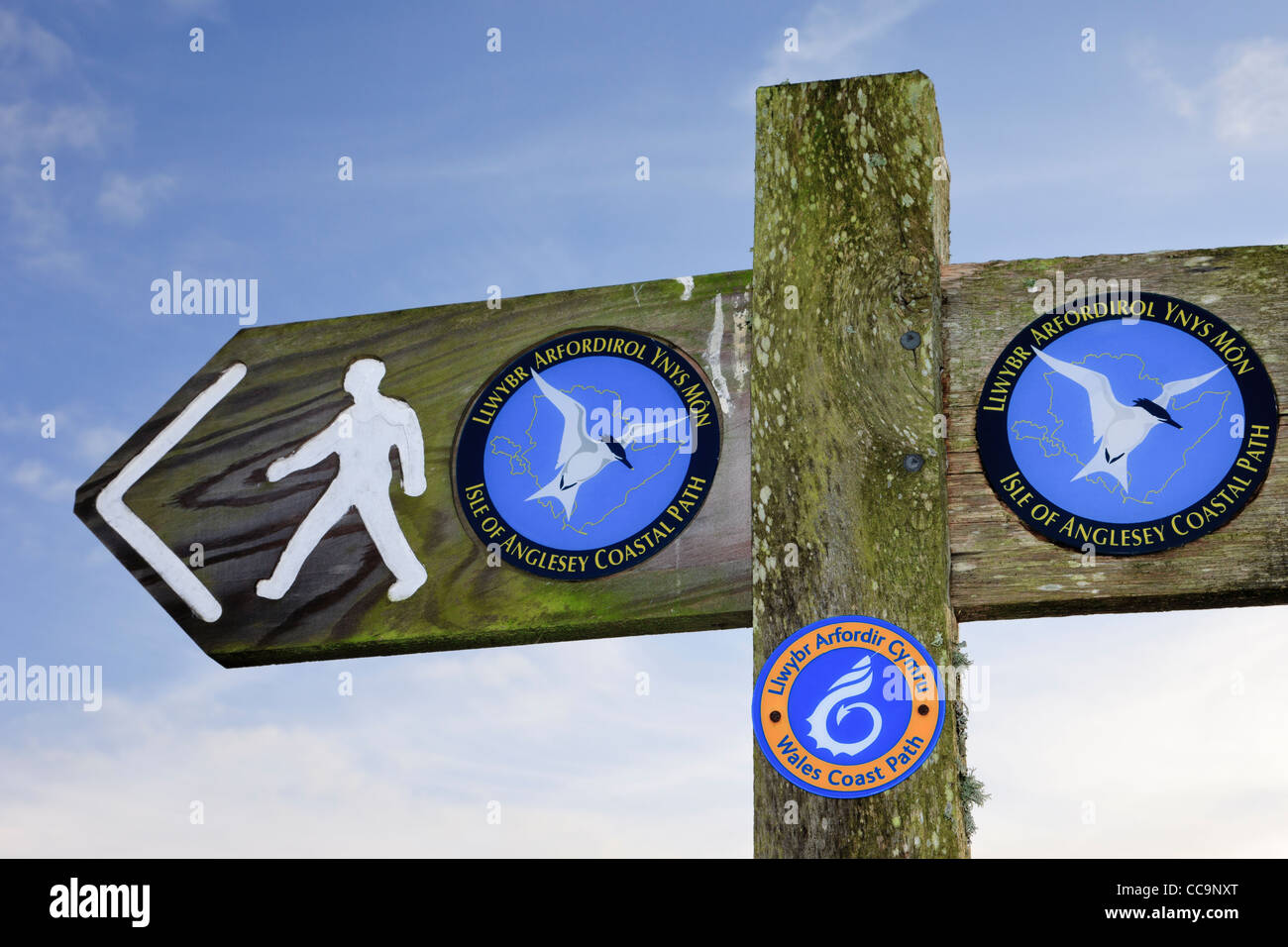 Alle Wales Coast Path Zeichen und das neue Logo auf eine Isle of Anglesey Coastal Path-Wegweiser in North Wales, UK, Großbritannien Stockfoto