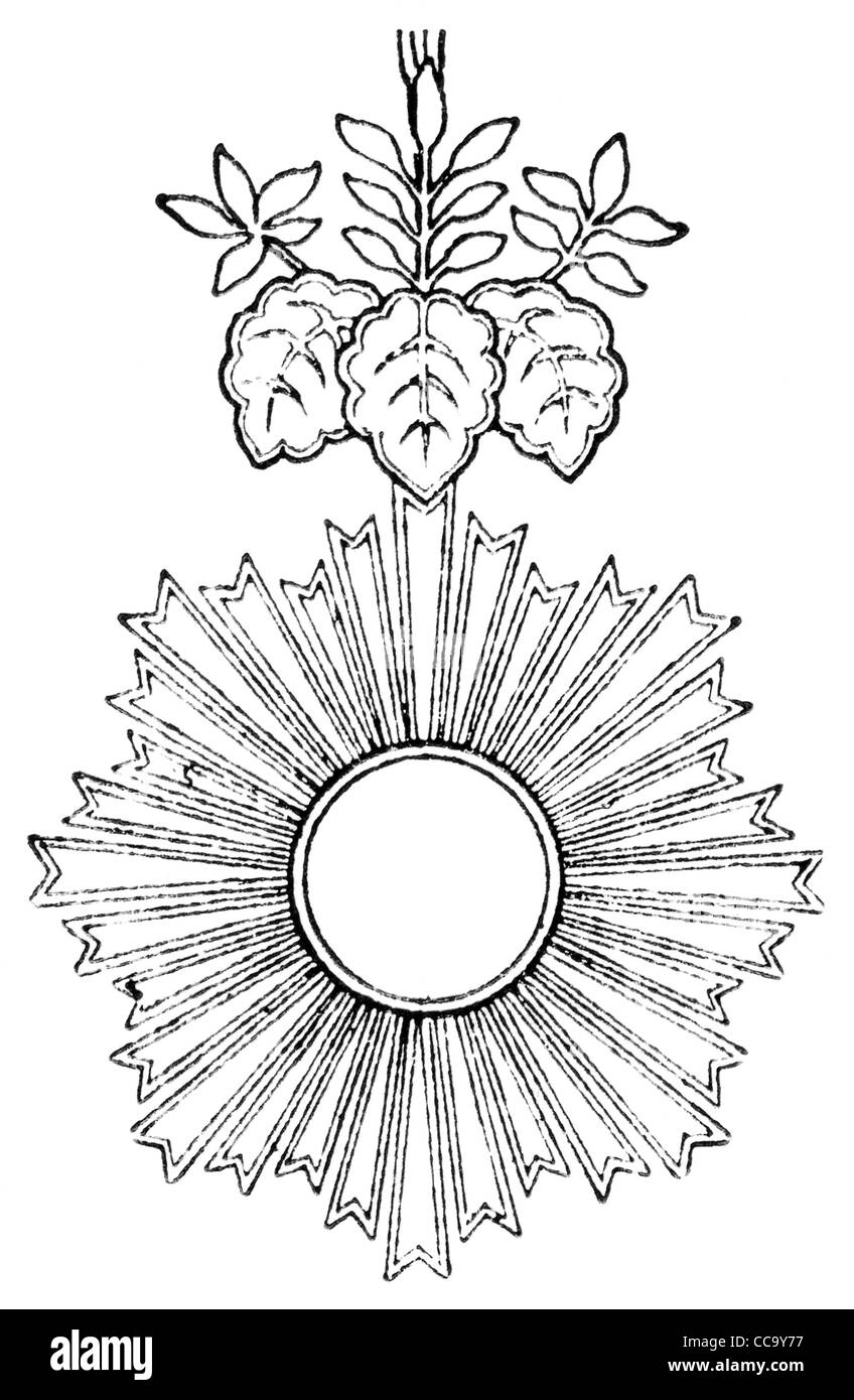 Orden der aufgehenden Sonne (Japan, 1875). Veröffentlichung des Buches "Meyers Konversations-Lexikon", Band 7, Leipzig, Deutschland, 1910 Stockfoto