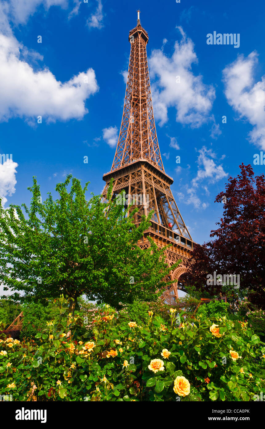 Der Eiffelturm und Rosengarten, Paris, Frankreich Stockfoto