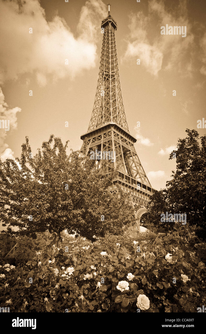 Der Eiffelturm und Rosengarten, Paris, Frankreich Stockfoto
